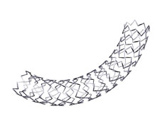 BioMatrix Flex drug-eluting stent